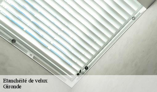 Etanchéité de velux 33 Gironde  Etancheur Père et Fils