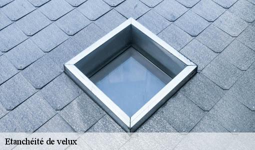 Etanchéité de velux 33 Gironde  Etancheur Père et Fils