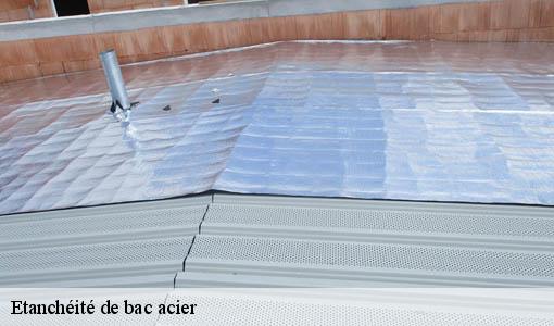 Etanchéité de bac acier  landiras-33720 Etancheur Père et Fils
