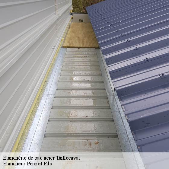 Etanchéité de bac acier  taillecavat-33580 Etancheur Père et Fils
