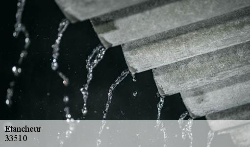 Etancheur  andernos-les-bains-33510 Etancheur Père et Fils