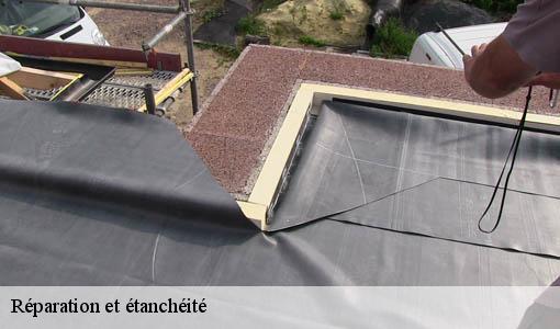 Réparation et étanchéité origne-33113 Etancheur Père et Fils
