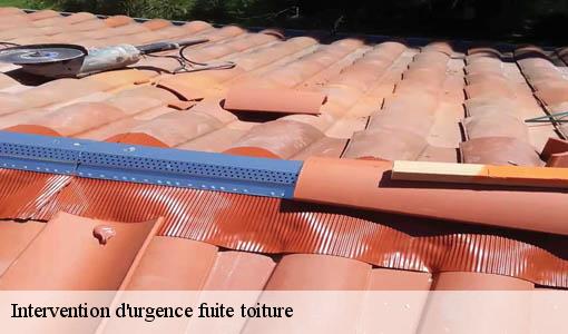 Intervention d'urgence fuite toiture hure-33190 Etancheur Père et Fils