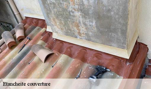 Etancheite couverture  lignan-de-bazas-33430 Etancheur Père et Fils