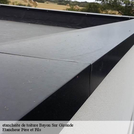 etancheite de toiture bayon-sur-gironde-33710 Etancheur Père et Fils