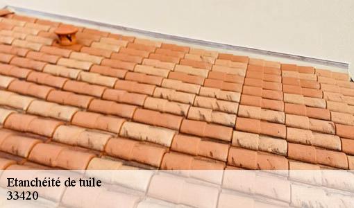Etanchéité de tuile jugazan-33420 Etancheur Père et Fils